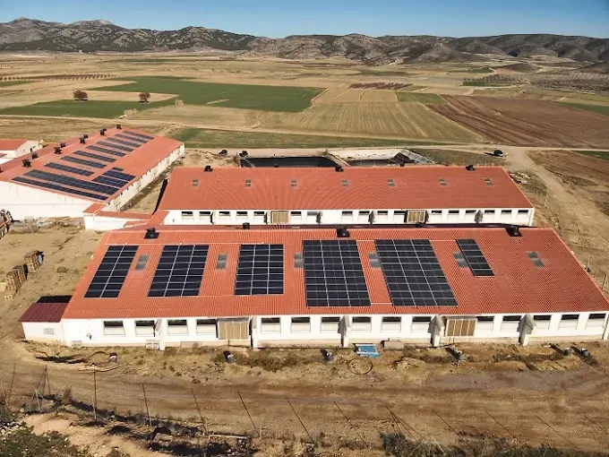 Instalación fotovoltaica en Tudela Placas solares fotovoltaicas instaladas en explotación de Tudela